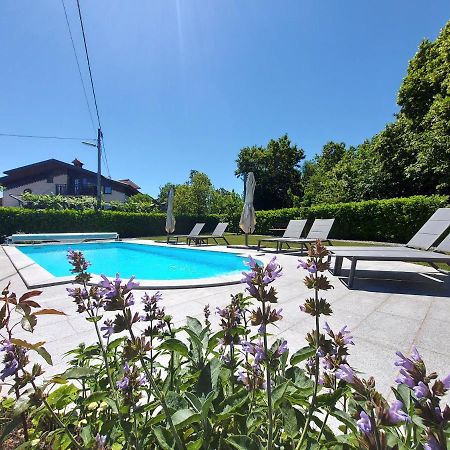 Guesthouse Pri Mihelovih Sežana Eksteriør billede
