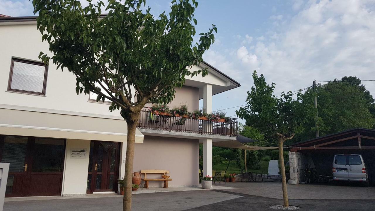 Guesthouse Pri Mihelovih Sežana Eksteriør billede